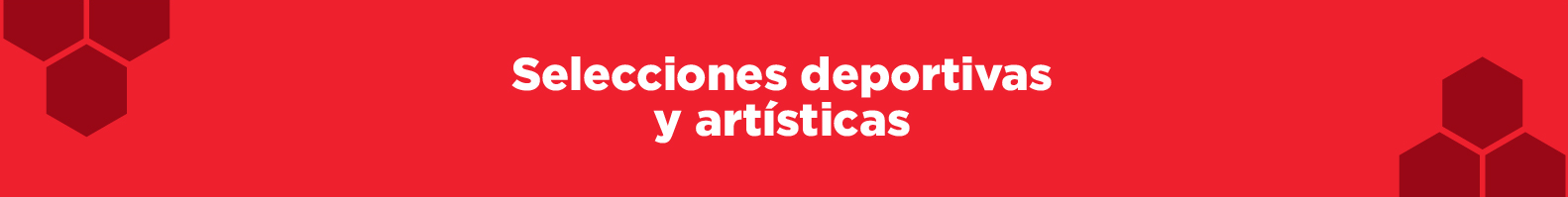 Selecciones deportivas y artísticas del Colegio Albert Einstein